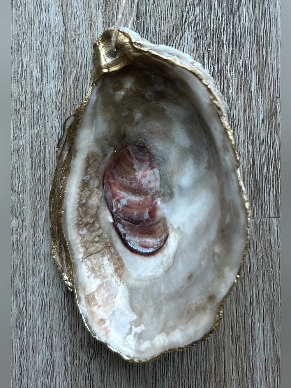 Boxed Set of 4 Handmade Gold Trimmed Oyster Shell Ornaments Coastal Gift⁠
